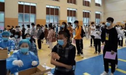 郑州小学爆料事件最新消息,真相揭开，家长震惊不已