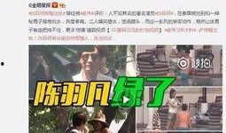 爆料四川富商事件视频最新,揭秘背后惊人真相