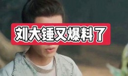 刘大锤最新爆料汇总,揭秘娱乐圈惊天秘密大汇总